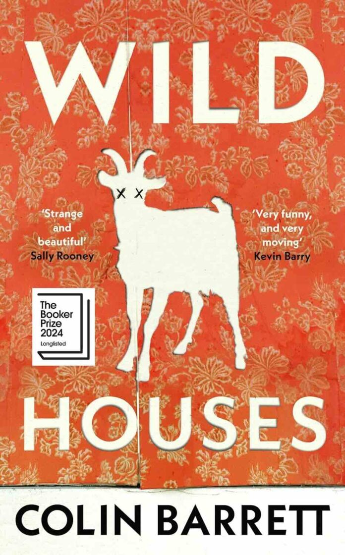 2. Wild Houses by Colin Barrett - The Booker Prize 2024 Longlist