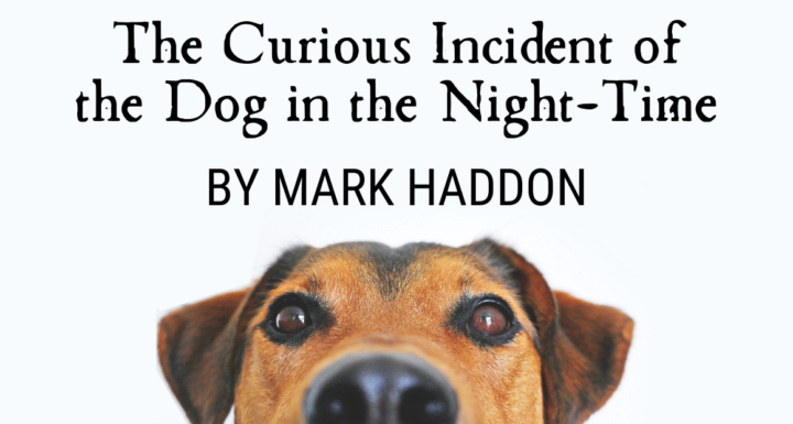 Book Review - The Curious Incident of the Dog in the Night-Time by Mark Haddon